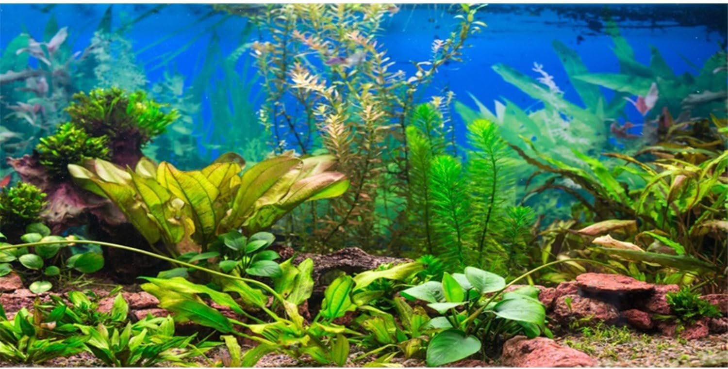 AWERT 48×20 inches Aquarium Background Aquatic Plant River Bed & Lake Fish Tank Background Vinyl Background