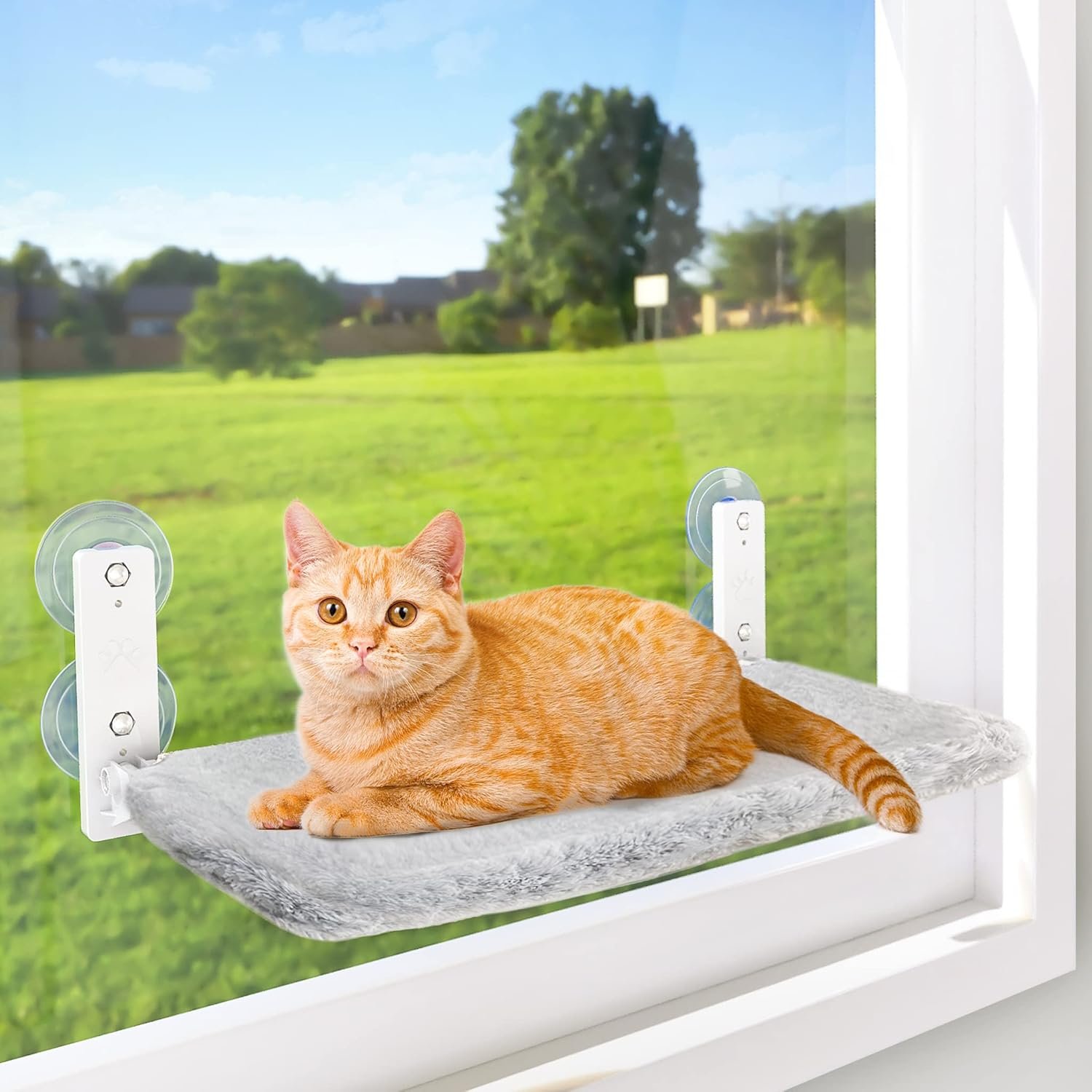 AMOSIJOY Cordless Cat Window Perch, Cat Hammock for Wall with 4 Suction Cups, Solid Metal Frame and Reversible Cover, Foldable Cat Beds for Indoor Cats