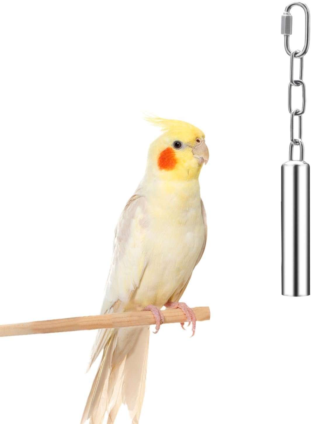 Wontee Stainless Steel Bell Toy Bird Cage Hanging Bite Toy for Parrot Parakeet Budgie Cockatiel Conure African Greys (S)