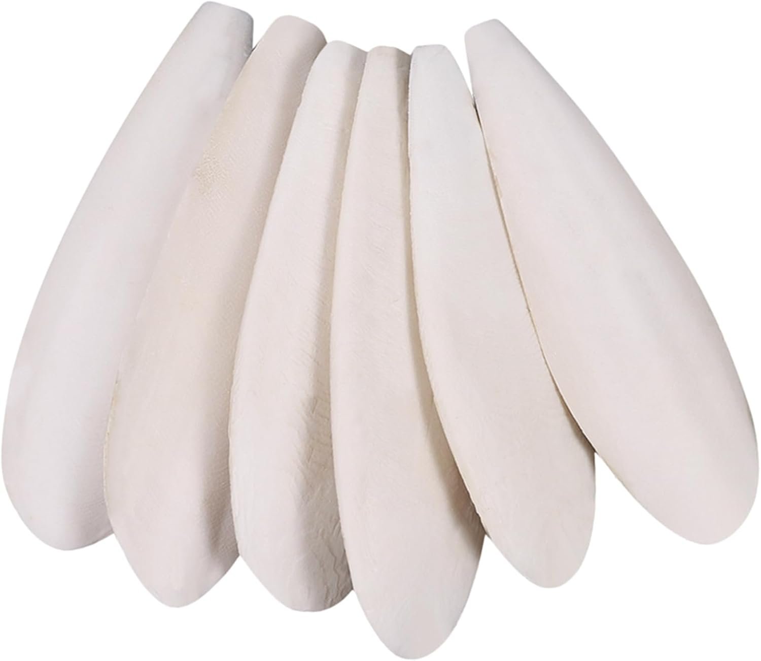 6 Pcs Natural Cuttlebone Parakeets Pure Cuttlebone Calcium Stone for Tortoise Parakeets Canaries Cockatiels Turtles Cockatiel 9.5-10.4cm/3.7-4 inch