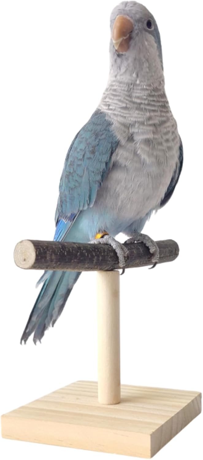 Bird Perch Stand, Bird Training Portable Tabletop Platform, Parrot Cage Toy Gym Accessories for Parakeets Cockatiels, Conures, Macaws, Finches Lovebirds
