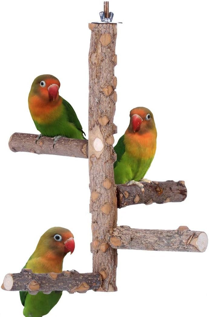 Bird Perch Nature Wood Stand for 3-4pcs Small Medium Parrots (S)