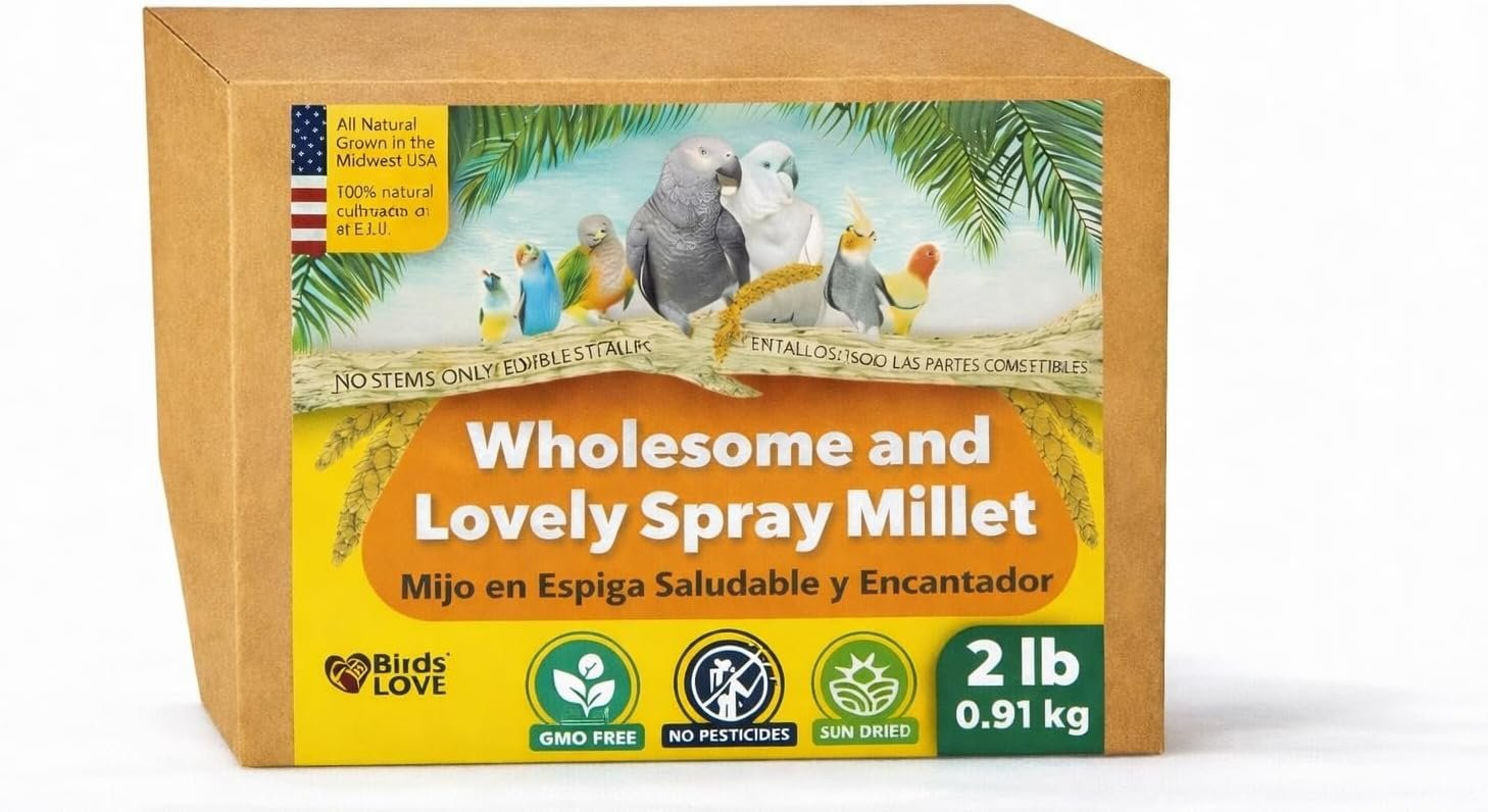 2lbs Wholesome Spray Millet for Birds – Grown, Harvested & Packed in The USA – 100% Natural, Sun‑Dried Bird Treat – Foraging Millet for Parakeets, Cockatiels, Conures, Budgies & Parrots