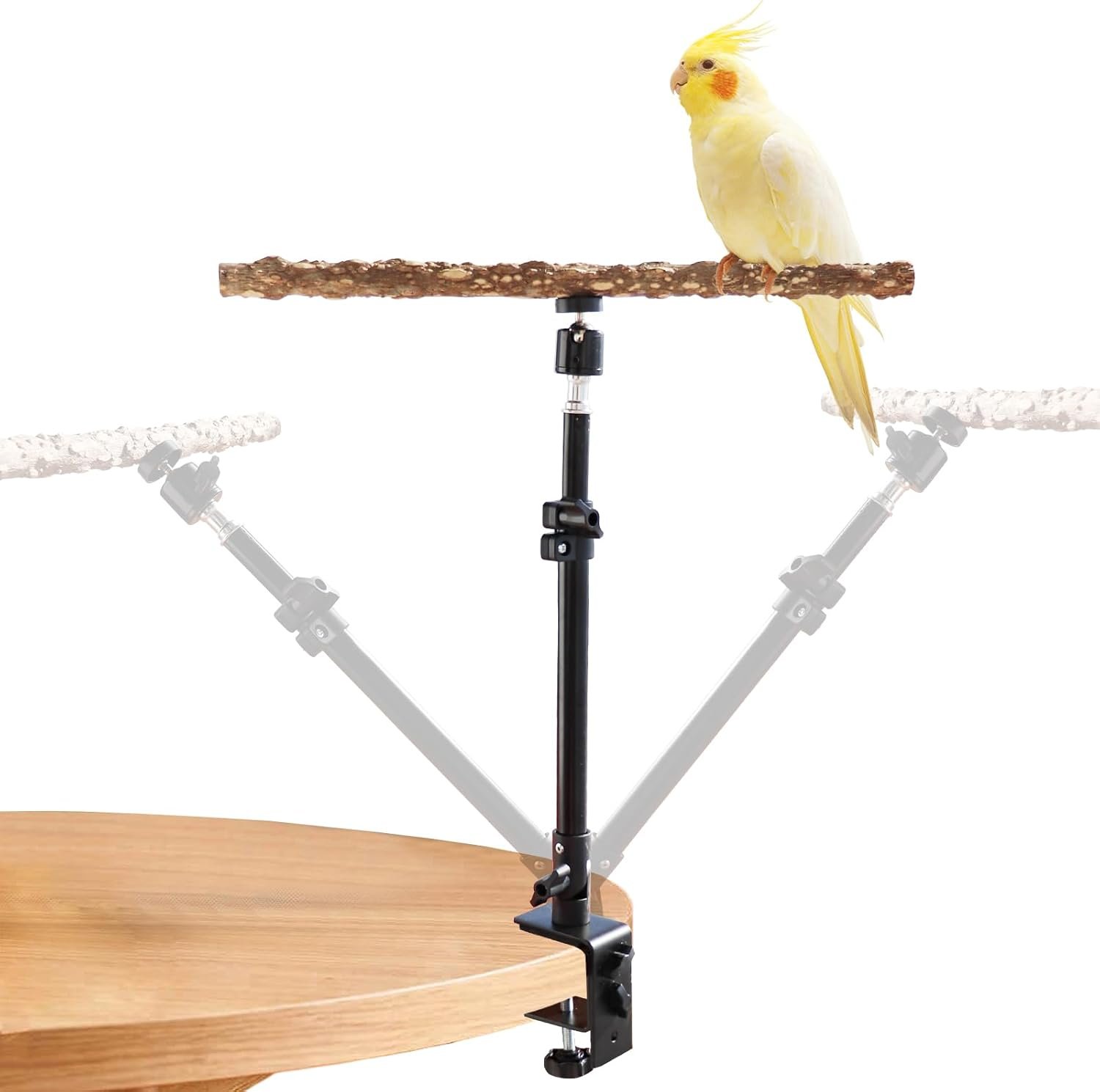16-24 Inch Height Adjustable Bird Perch Stand, Natural Pepper Wood, Black, Bird Training Perch Stand, Indoor and Outdoor, for Small to Medium Birds