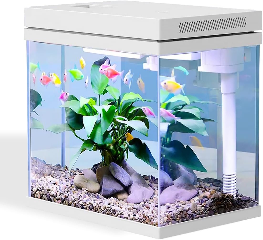 Fish Tank, 2.5 Gallon Nano-Aquarium, Upgrade Filter System and LED Light, for Freshwater & Marine, Filter Balls Included (2.5 Gal)