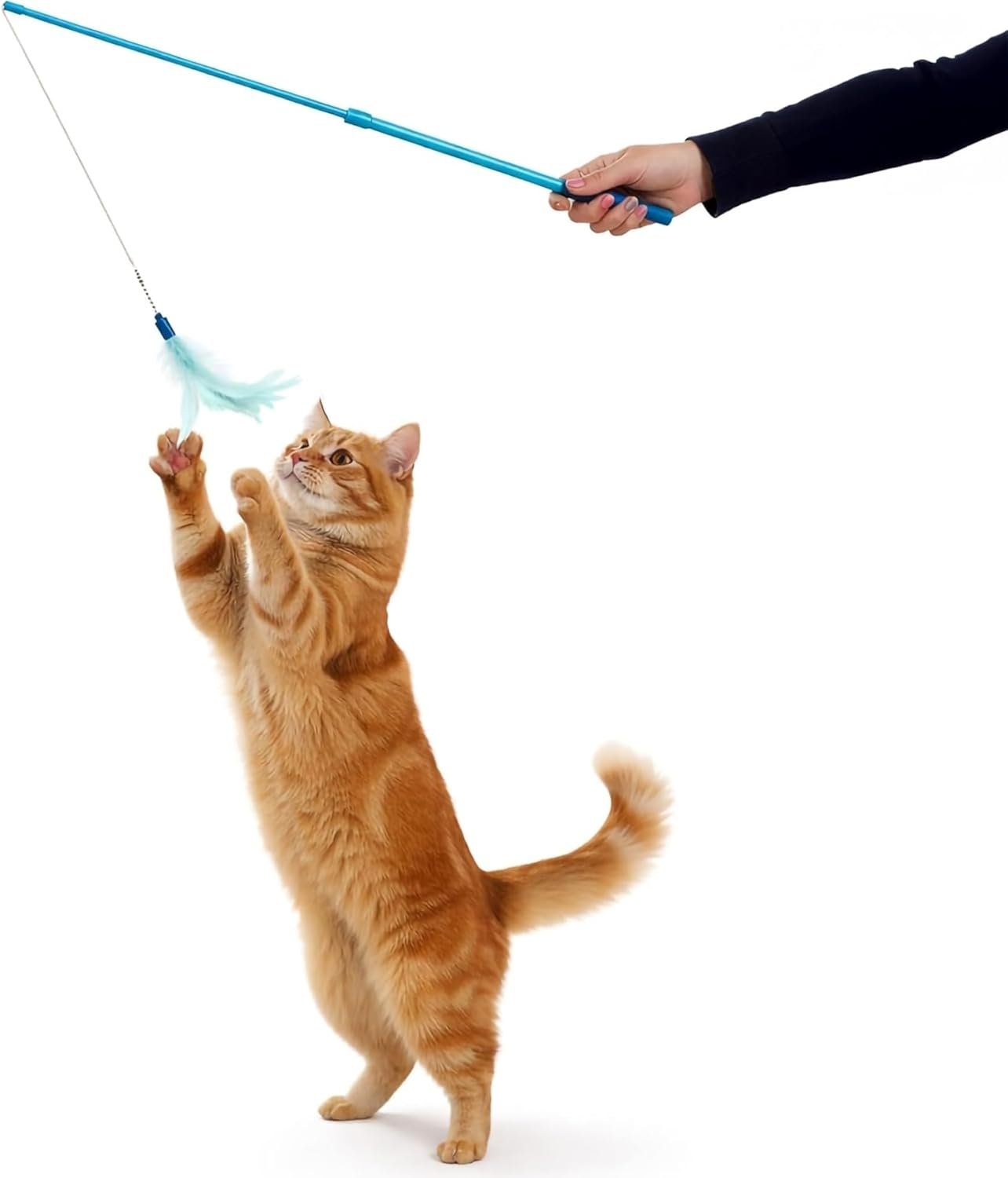 SmartyKat Frisky Flyer Feather Wand Cat Toy, Extendable Up to 24″ – Blue, One Size