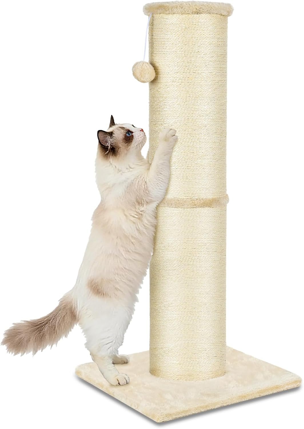 PAWSCRAT Cat Scratching Post 32 Inch High, 5.5 Inch Large Diameter Natural Sisal Cat Scratch Post, Scratch-Resistant and Durable Tall Cat Scratcher for Indoor Cats, Protect Your Furniture, Beige