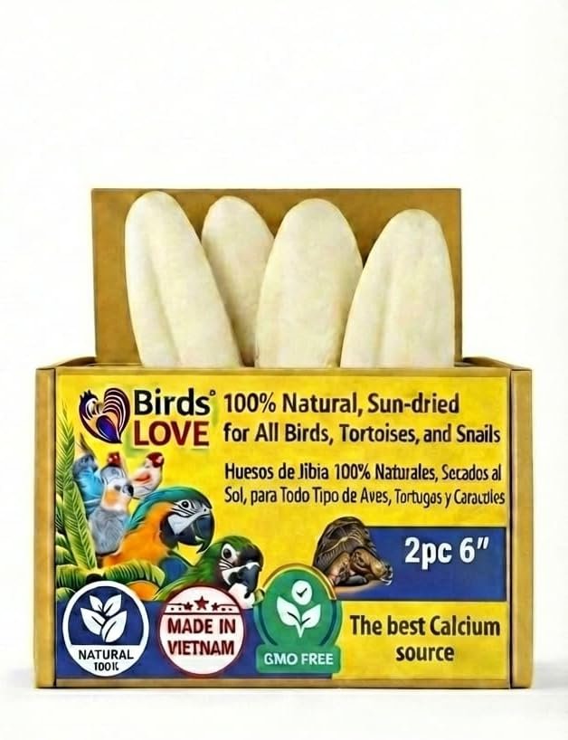 Birds LOVE 5.5-6″ Cuttlebones for Birds – 100% Natural Sun-Dried Calcium & Beak Conditioning Supplement for Parakeets, Budgies, Cockatiels, Finches & Canaries – 2 Pack with Holder – Made in Vietnam