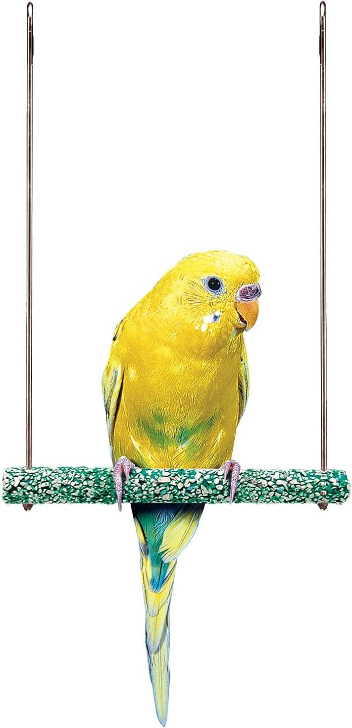 PENN-PLAX Bird-Life Trimmer Plus Cement & Metal Swing – Naturally Trims Nails & Beak – Great for Parakeets, Cockatiels, Finches, and Other Small Birds – Small Size