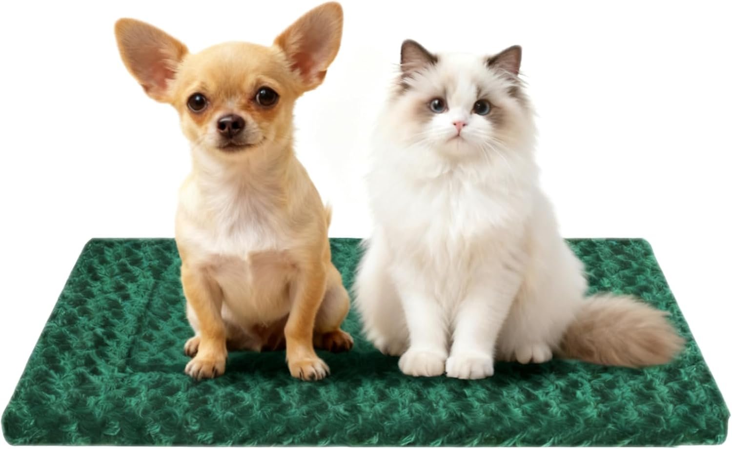 Dog Crate Bed Pad – Reversible Fleece Mat for Small, Medium, Large Dogs – Soft & Washable Anti-Slip Dog Bed Mat for Cages and Kennels – Comfortable, Durable Sleeping Pad for Dogs, Green, S