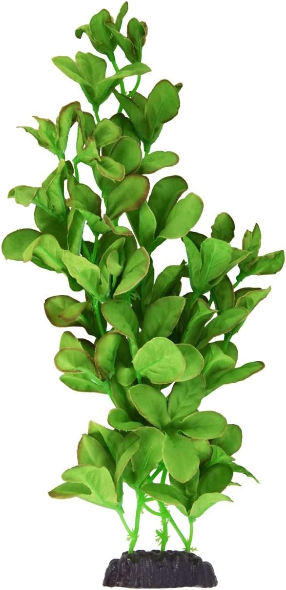Underwater Treasures Silk Bacopa Monnieri – 12″