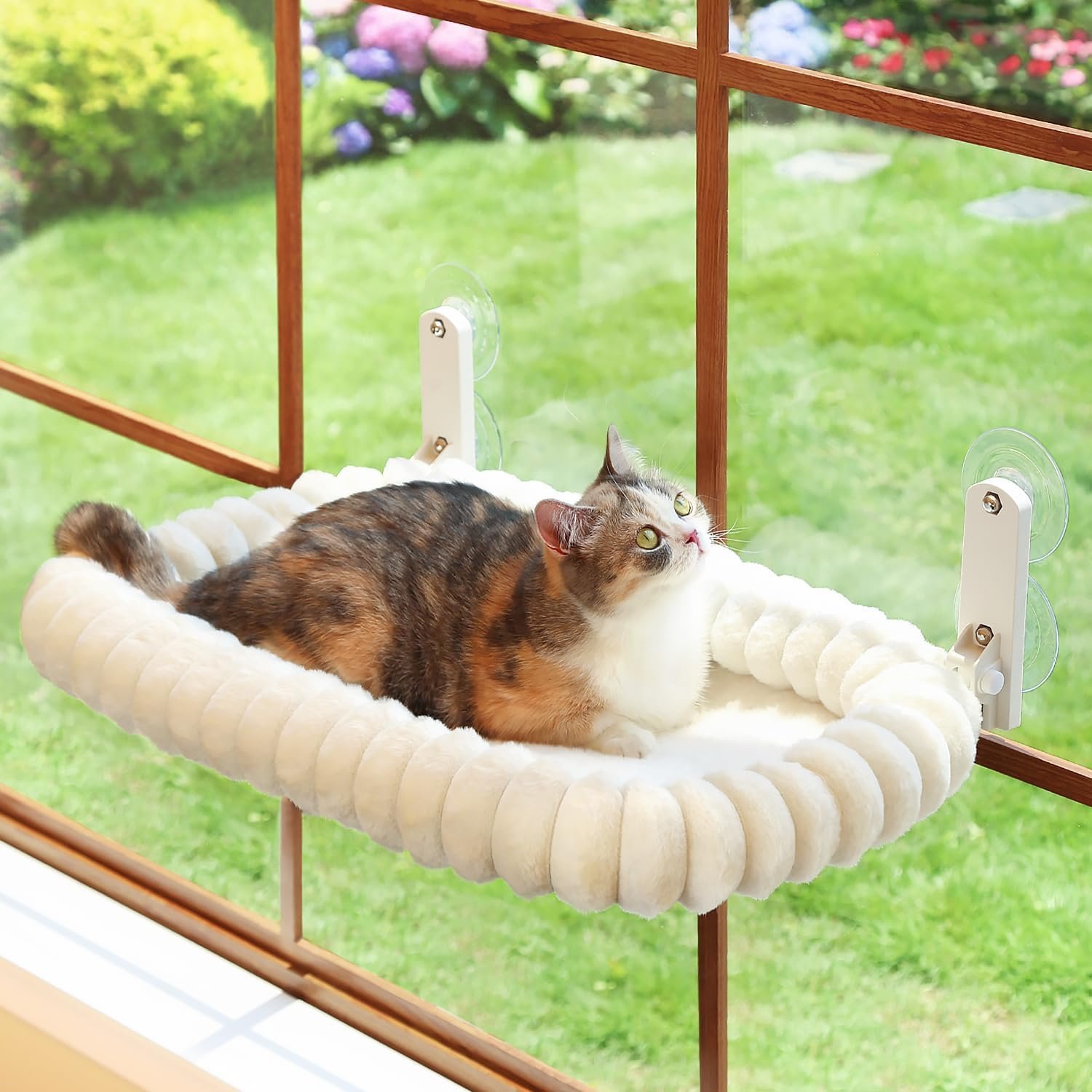 Zakkart SnugCloud Foldable Cat Window Perch – Cordless, Ultra Soft Machine Washable Bed with 4-Sided Bolster, Metal Frame – Window Hammock for Large Cats and Kittens (Cream White, Medium)
