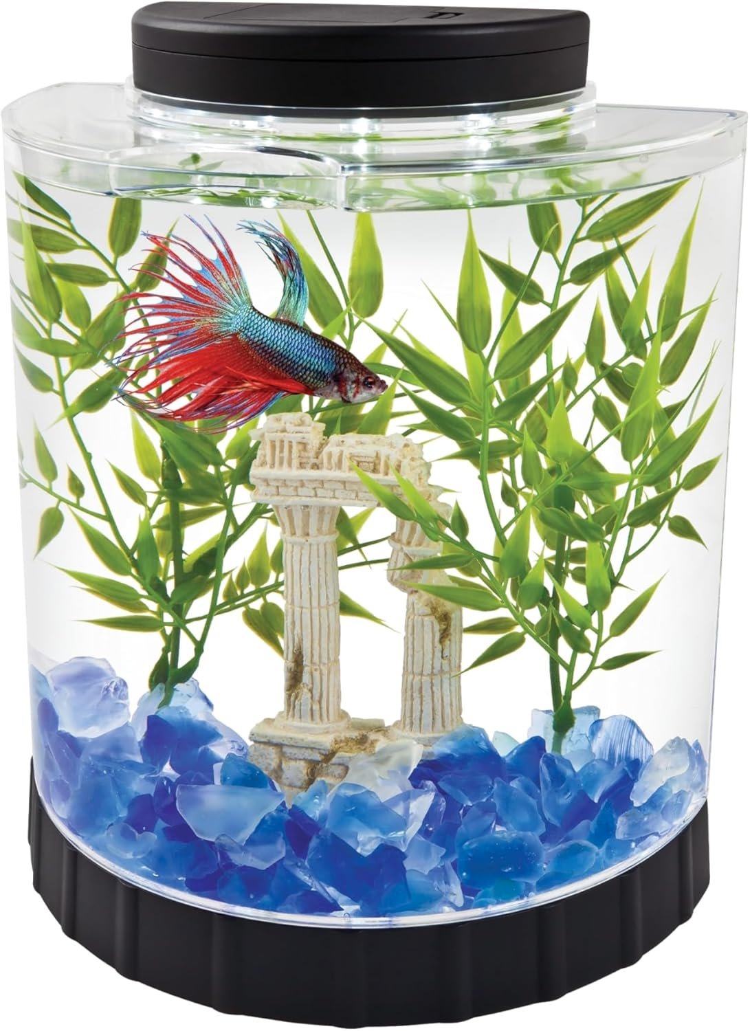 Tetra 1 Gallon Half Moon Small Fish Tank w/ Movable LED Light, For Betta & Gold Fish, Aquarium