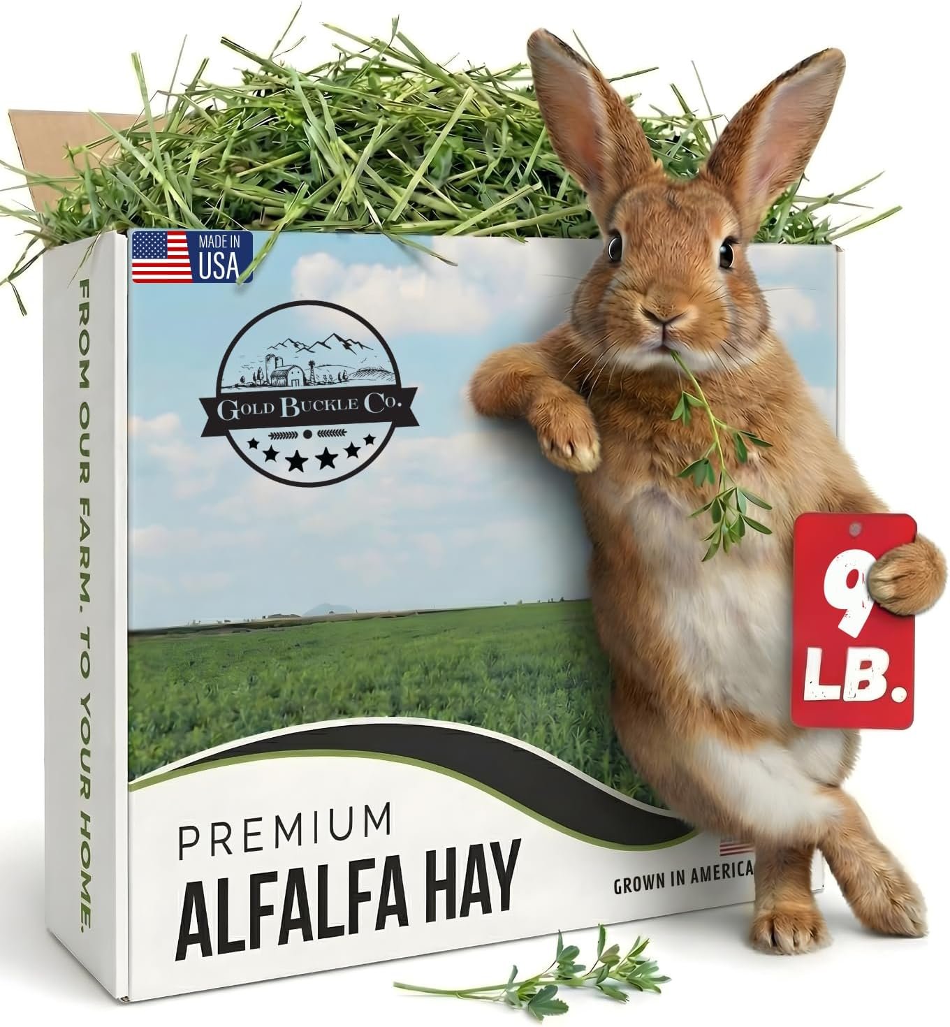 9lb Farm Fresh Alfalfa Hay for Rabbits, Guinea Pigs, Chinchillas, Goats, Hamsters & Ferrets – Organic Small Animal Food Rich in Protein & Fiber – Fresh Dried, Hand-Selected, USA Grown