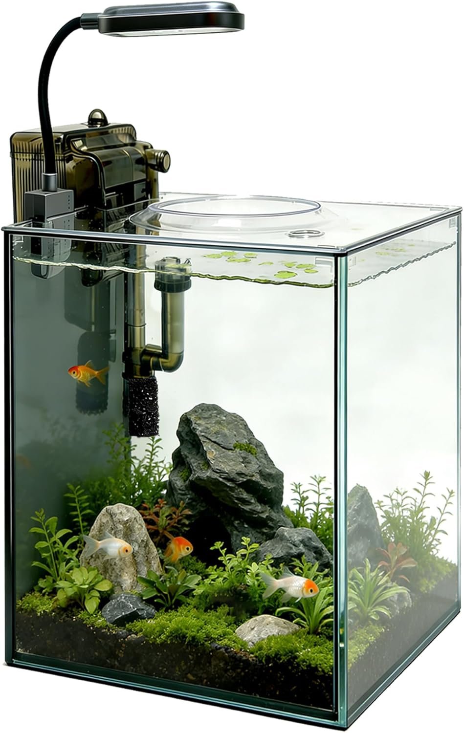 2.1 Gallon Nano Aquarium Kit with Lid, Space Saving Hang-On Filter and LED Light, Ultra-Clear Rimless Glass Desktop Fish Tank for Small Fish, Shrimp, and Betta