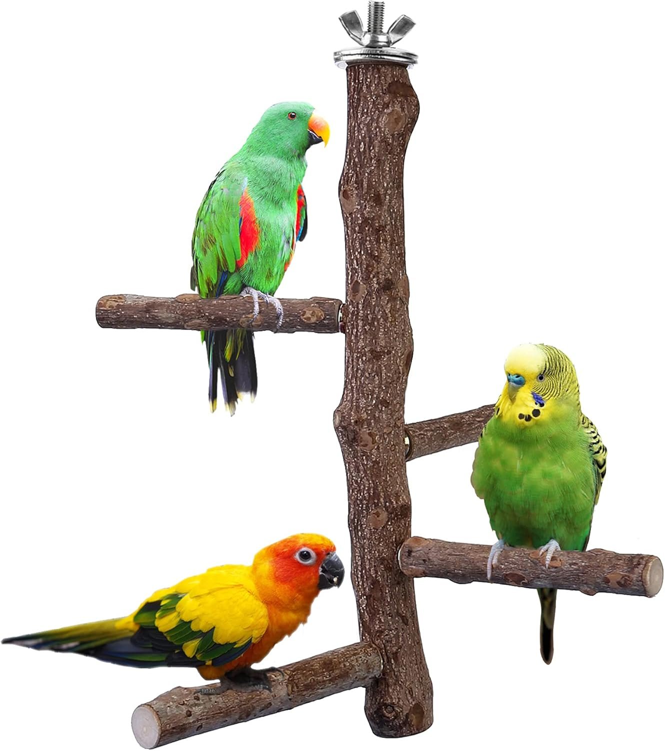 Bird Perch Stand Toy, Natural Wood Parrot Perch Bird Cage Branch Perch Accessories for Parakeets Cockatiels Conures Macaws Finches Love Birds (M: 10″ Length)
