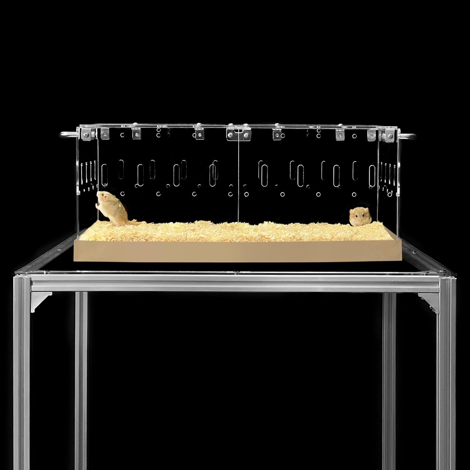 GuineaLoft™ Acrylic Cage (Model-P3) – Small 2×1 ft Enclosed w/Lid & Bottom for Hamsters, Rats, Mice, Gerbils, Also Works for a Single Guinea Pig, or as a Transport Cage