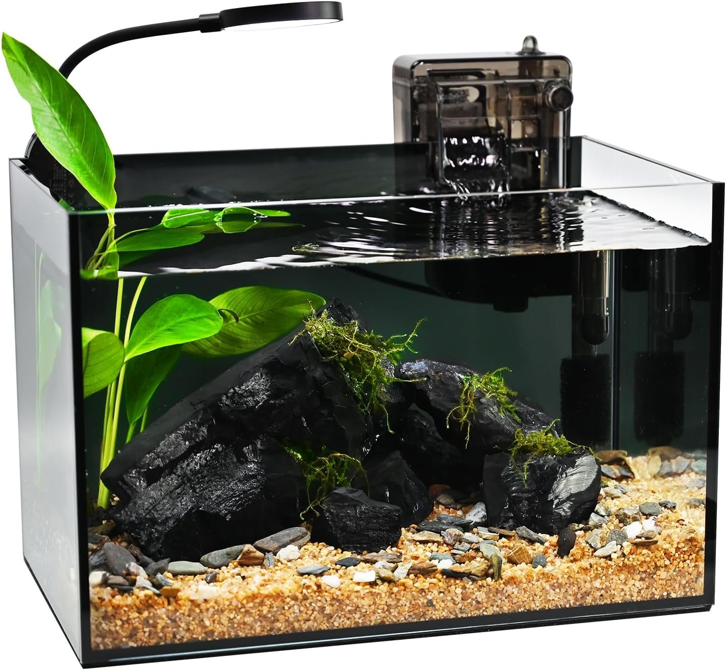 Fish Tank,2.8 Gallon Small Aquarium Kit,Glass Small Fish Tank,Betta Fish Tank with Light and Filter, Small Transparent Glass Fish Tank with Light and Filter