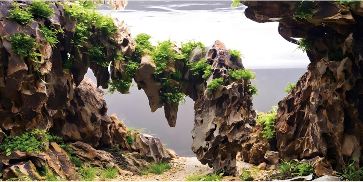 AWERT 48×24 inches Viewing Stone Fish Tank Background Aquatic Plant River Bed & Lake Aquarium Background Seaweed Aquarium Vinyl Background