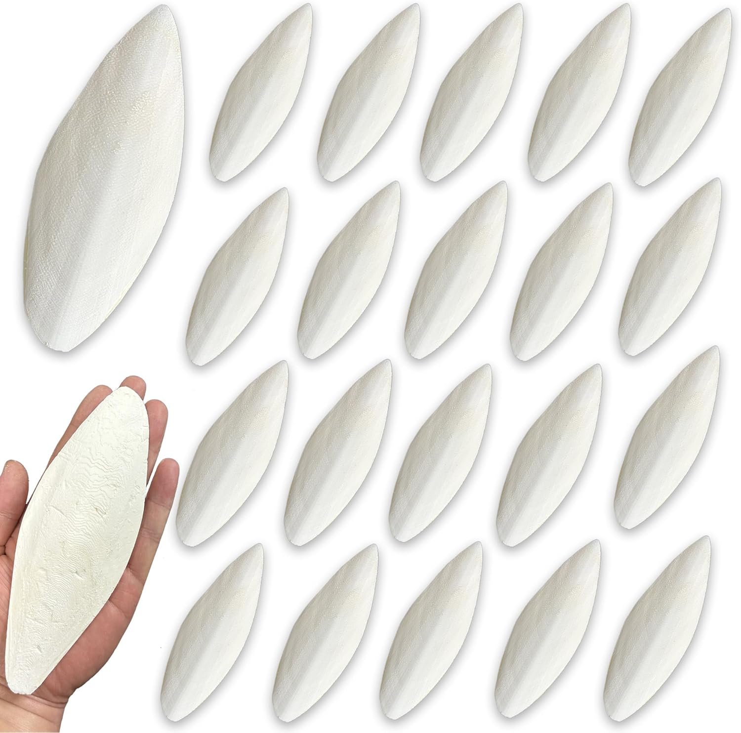 Bird Cuttlebone for Parakeets Cuttlebone for Birds – Natural Cuttlefish Bone Bulk Chew Toy Bird Bites Calcium Stone for Canaries Tortoises,Snails,Reptiles,Parrots,Cockatiel