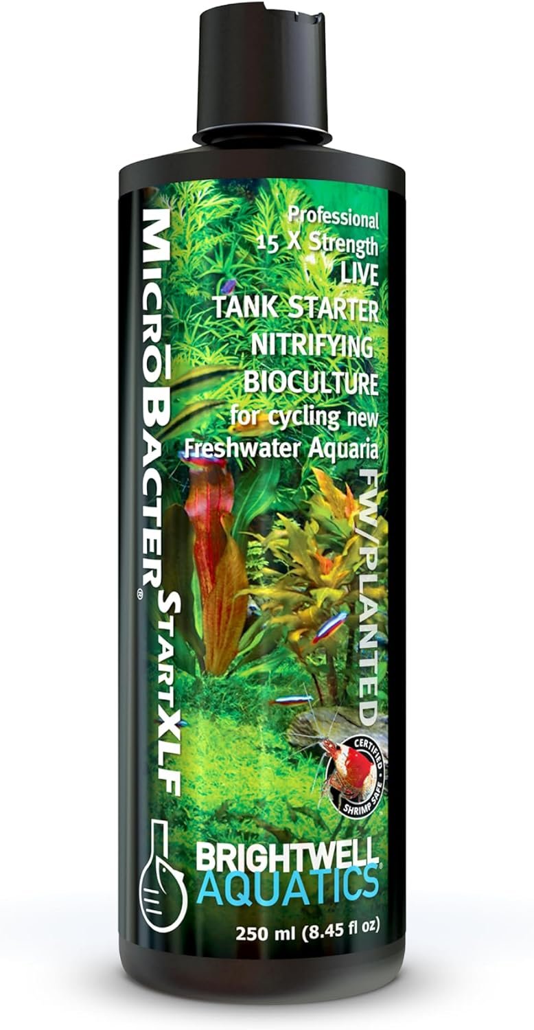 Brightwell Aquatics MicroBacter Start XLF – Concentrated Freshwater Nitrifying Bacteria – Quick Start Fish Tank Starter, Lift Microbe Levels & Water Filtering – Aquarium Water Treatments, 8.45 fl oz