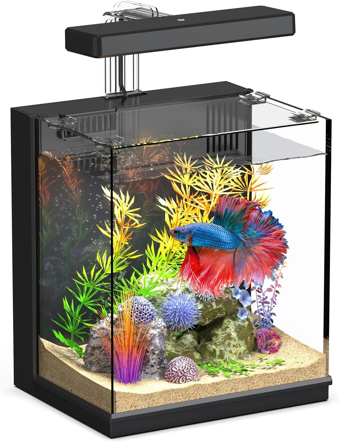 Betta Fish Tank, 2 Gallon Beta Fish Aquariums with Filtration, All-in-One Fish Tanks for Beginners