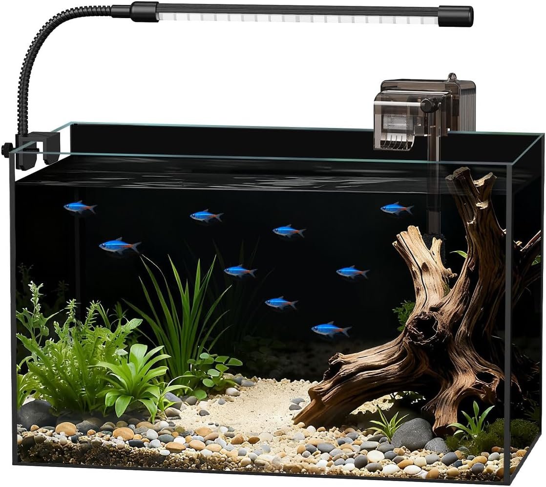 Glass Fish Tank Kit, 5 Gallon Betta Fish Tank Aquarium Starter Kit with Filter, Lights, Lid, for Betta, Goldfish, Small Fish or shrimg