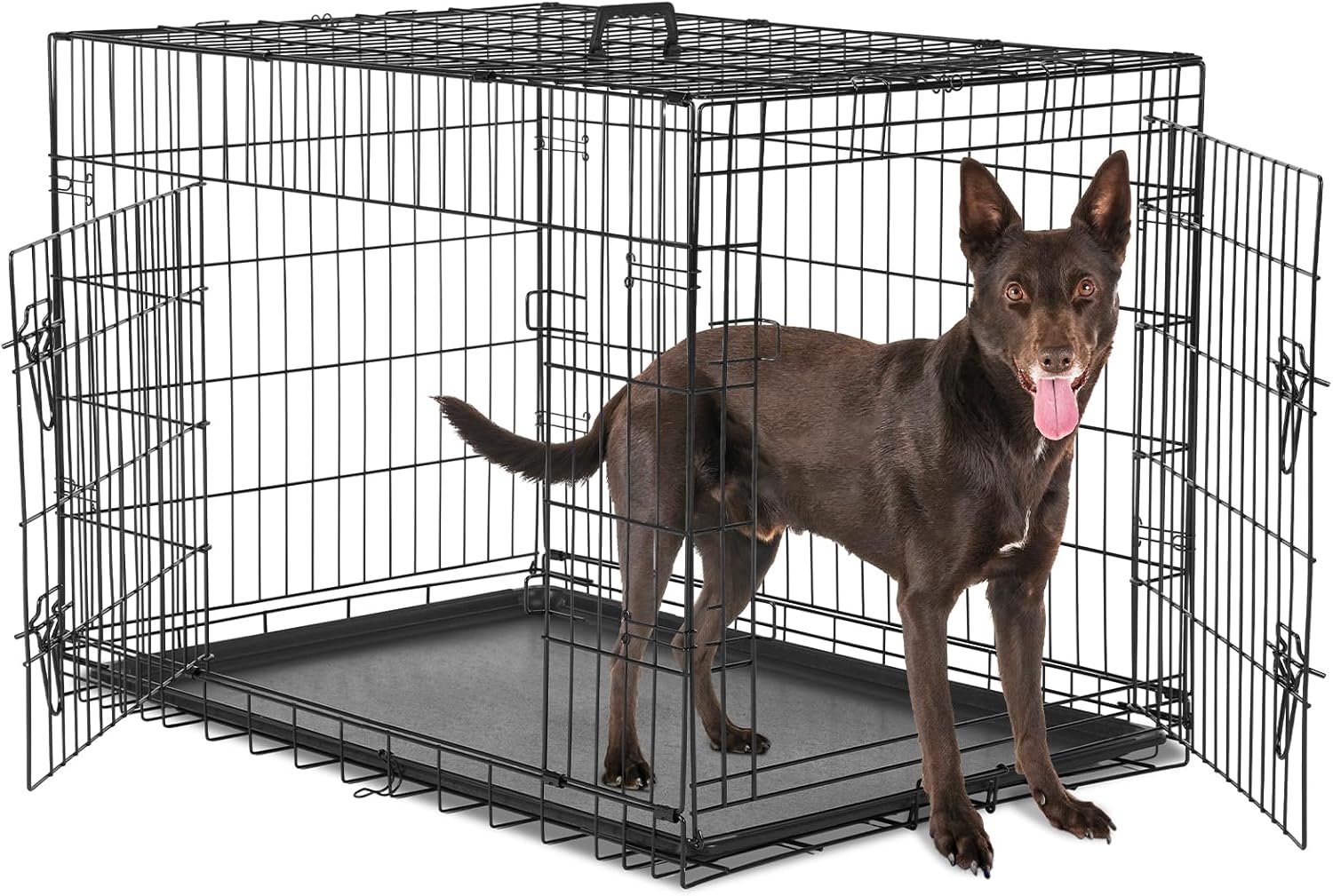 Sweetcrispy Large Dog Crate, 36 Inch Double Door Folding Metal Wire Dog Cage with Plastic Leak-Proof Pan Tray, Pet Kennel for Indoor, Outdoor, Travel