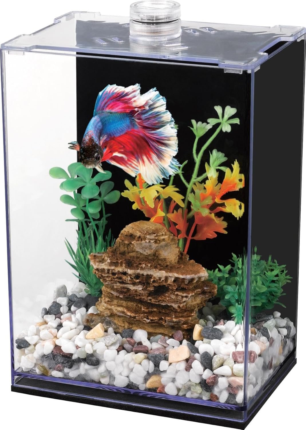 Betta Fish Tank with LED Light, 15x10x20 cm, Acrylic Aquarium with Cover and Black Wall Paper