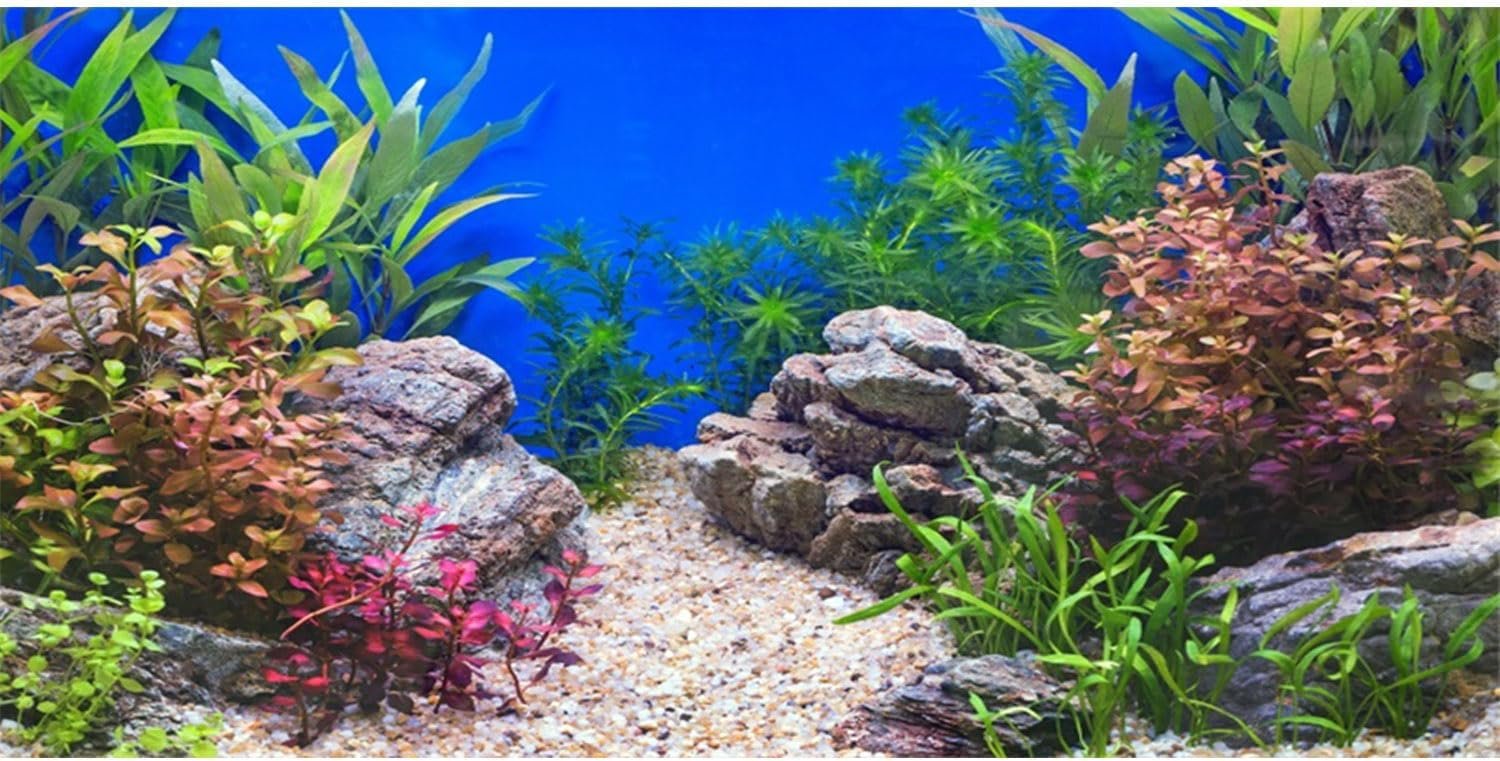 AWERT 36×24 inches Aquatic Plant Fish Tank Background Stone River Bed & Lake Aquarium Background Vinyl