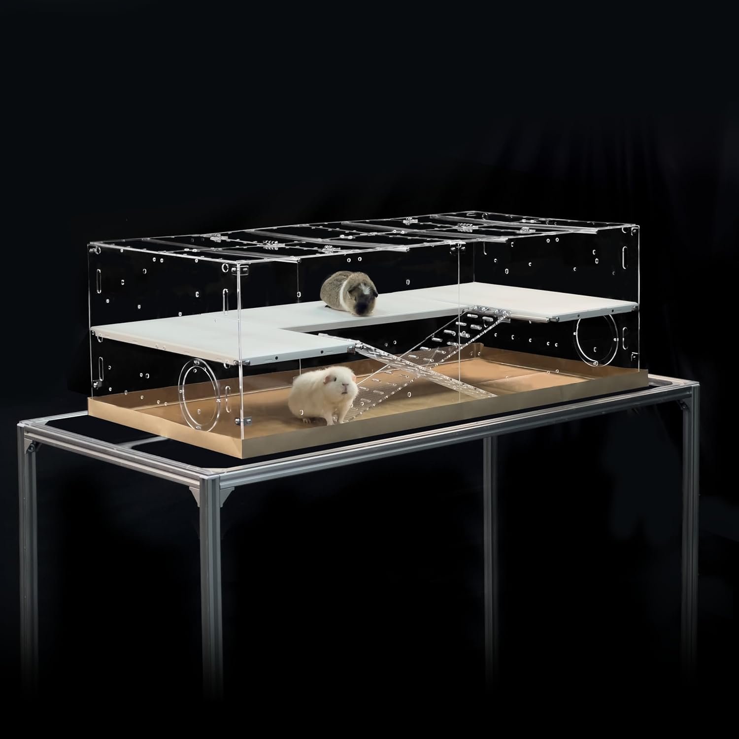 GuineaLoft™ Custom Acrylic Cage (Model-A3) for Guinea Pigs & Small Pets 4ftx2ftx1.33ft High Walls w/Options for 2nd Floor, Ramp, Lids, UV Printed Background, Personalized Name Plates, Extra Thickness