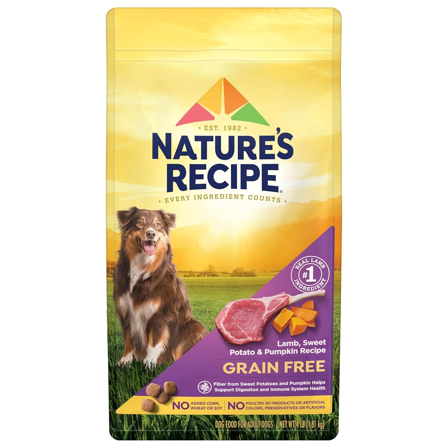 Nature’s Recipe Grain Free Dry Dog Food, Lamb, Sweet Potato & Pumpkin Recipe, 4 lb. Bag