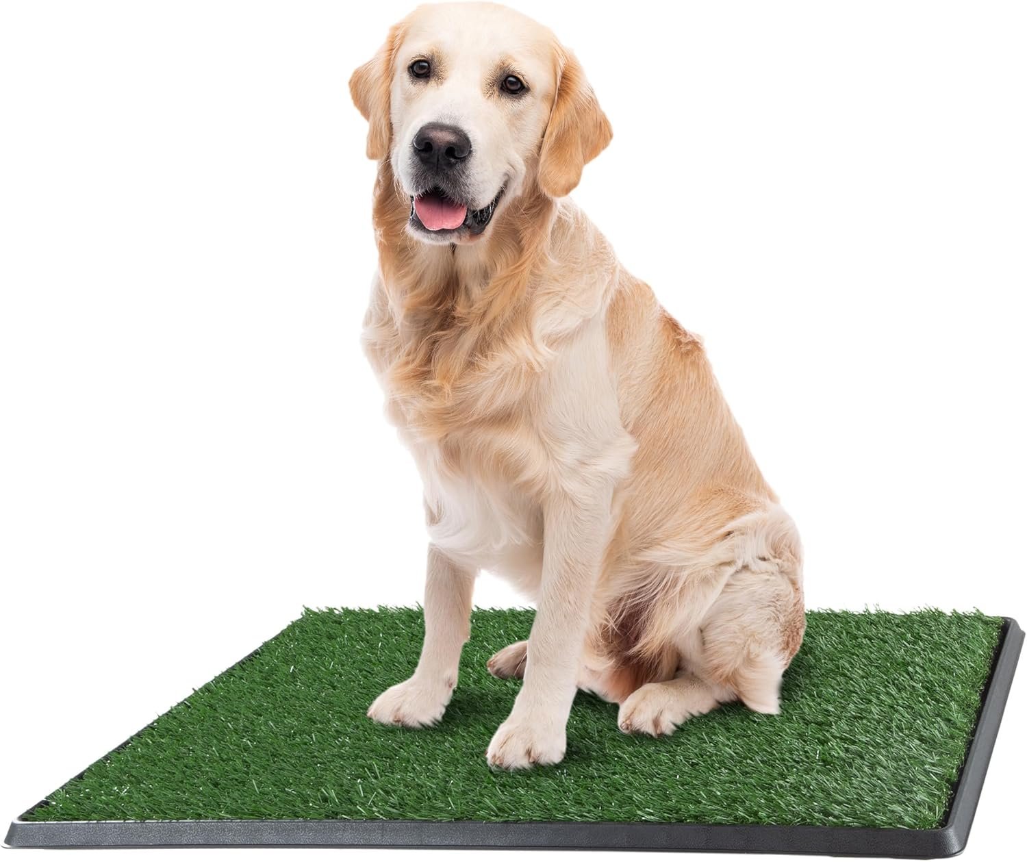 Artificial Grass Puppy Pee Pad for Dogs and Small Pets – 20×30 Inch, Reusable 3-Layer Turf Pads for Dogs with Tray – Indoor and Outdoor Fake Grass Potty Pet Supplies by PETMAKER