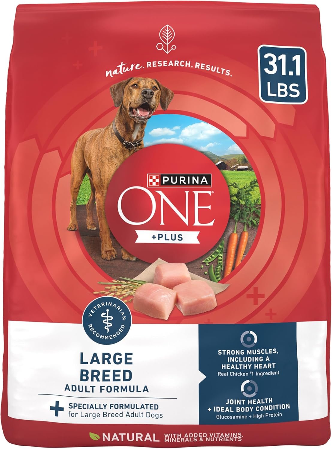 Purina One +Plus Dry Dog Food for Large Adult Dogs High Protein, Real Chicken – 31.1 lb Bag