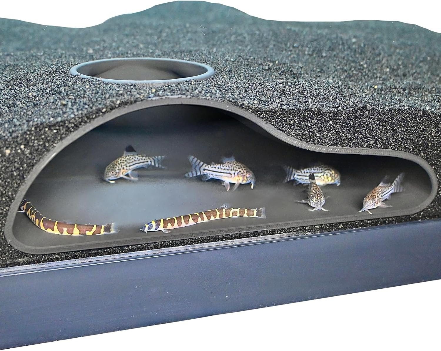 Aquarium Underground Tunnel Cave Natural Curve | Viewing Fish & Shrimp Under Gravel Tunnel | Fish Tank Decor Decoration Hideout Perfect for Corydora Catfish, Kuhli Loach, Clown Loach, Pleco