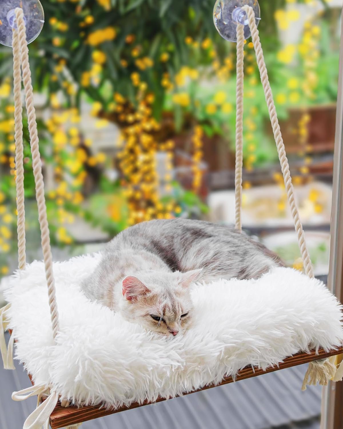 Cat Hammock with Industrial-Grade Suction Cups – Solid Pine Wood Seat, Soft Cushion – 42 lb Capacity
