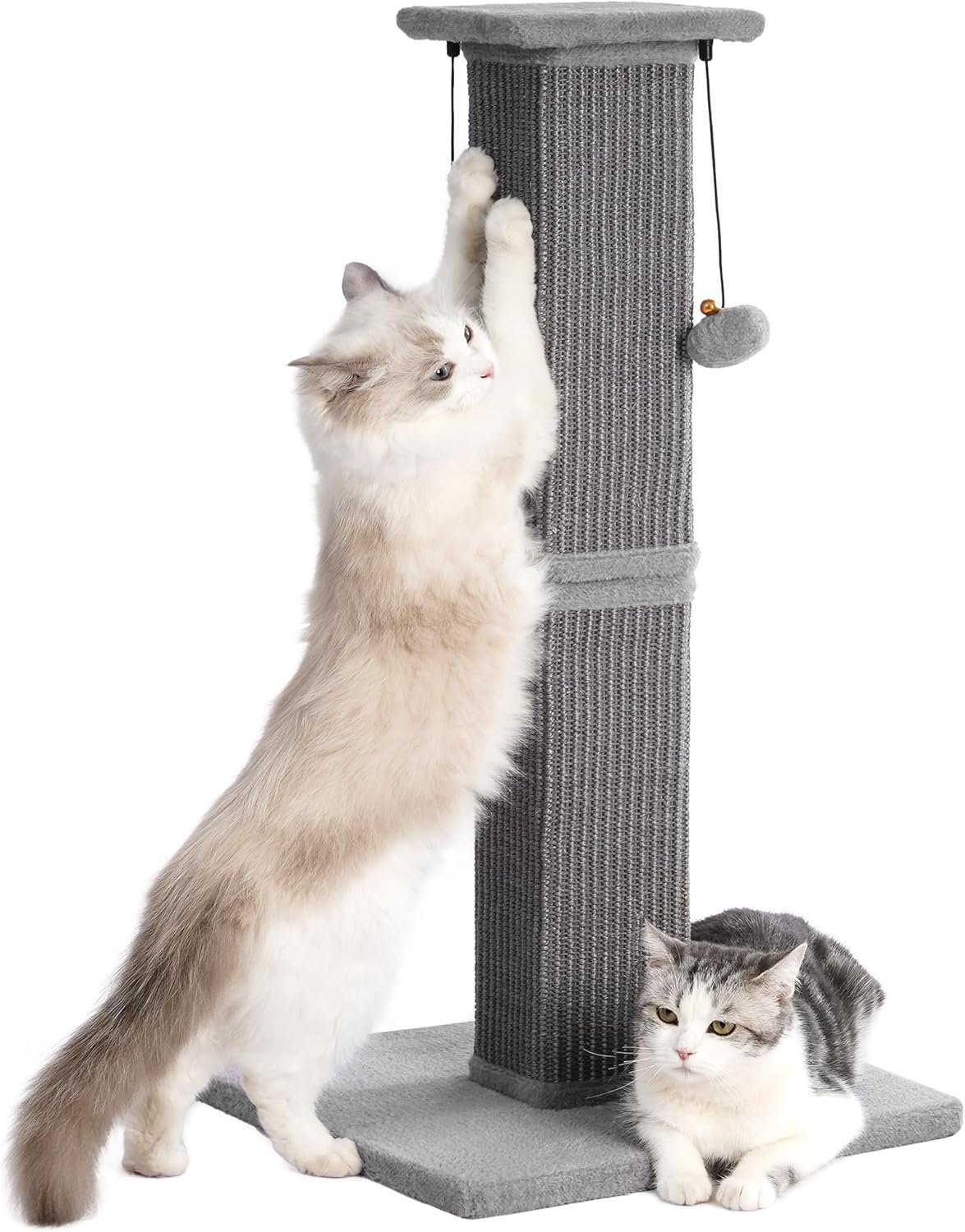 Large Cat Scratching Post with Heavy Duty Base 33″ Sturdy Square Sisal Scracher Post and 2 Interactive Hanging Balls for Big Cats-Grey