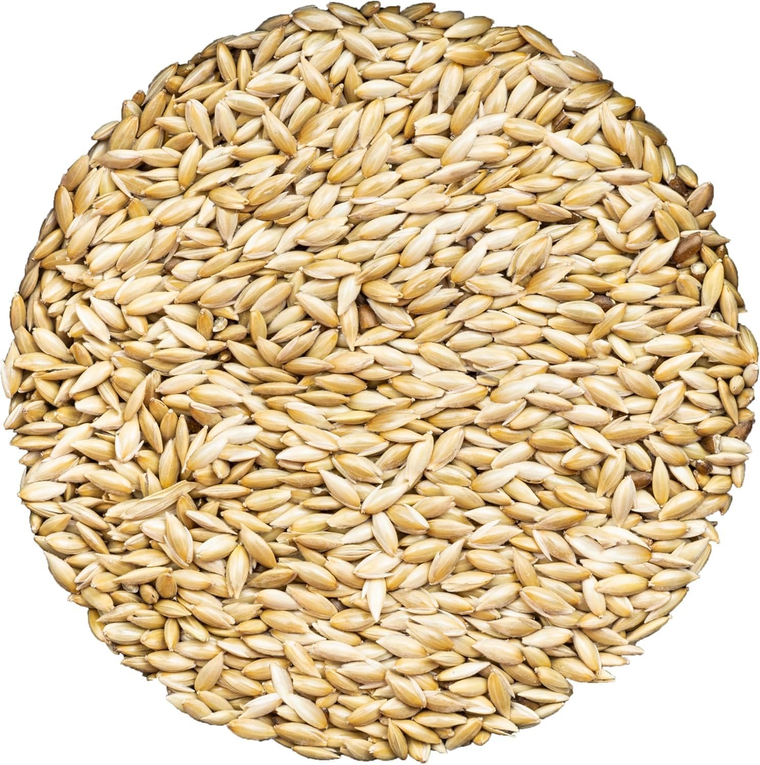 Unida Alpiste Canary Seed | 100% Pure, Natural & Non-GMO Bird Food for Canaries, Finches, Budgies & Parakeets | Double Cleaned Bird Seed, 5 lbs