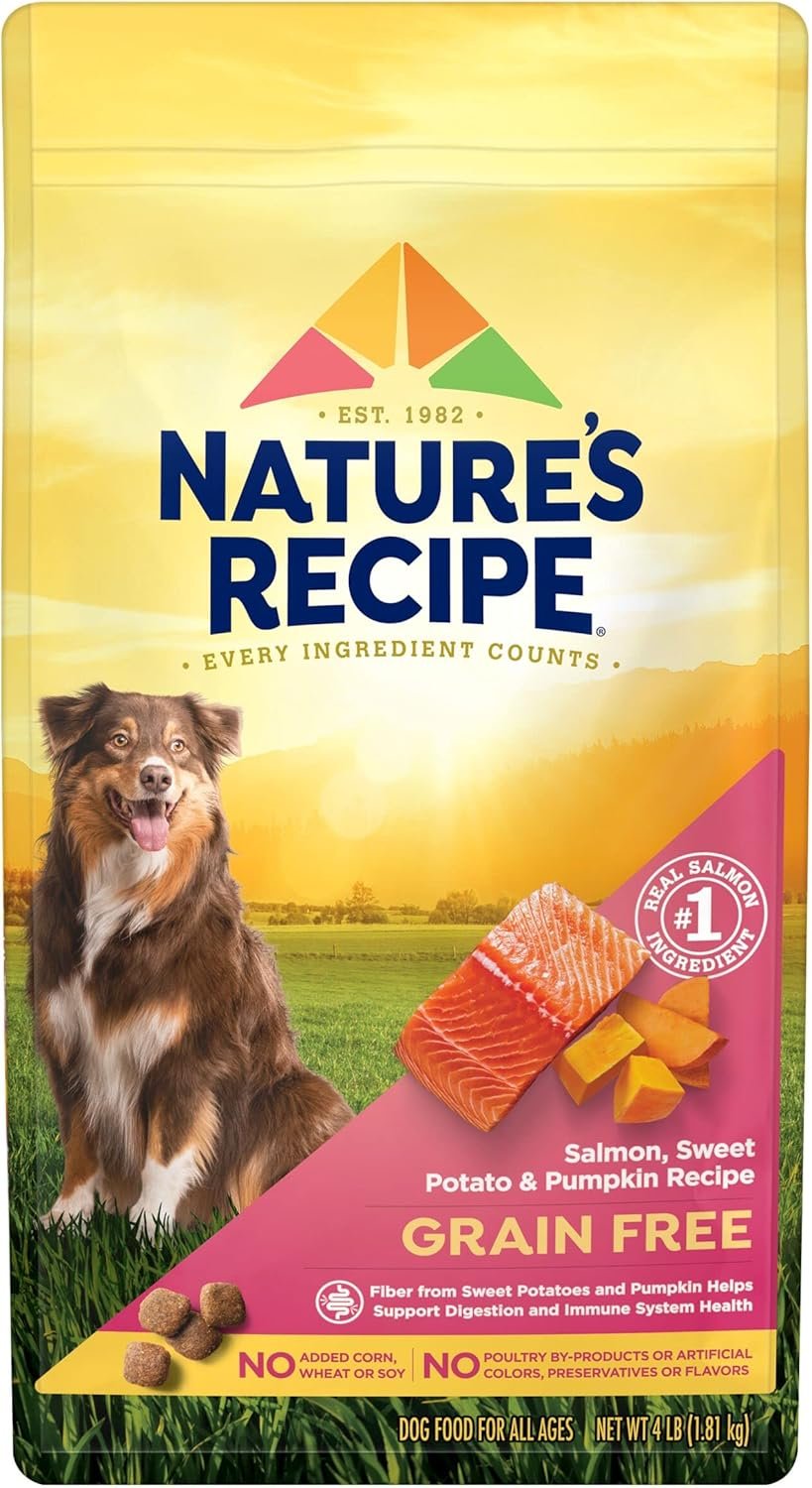 Nature’s Recipe Grain Free Dry Dog Food, Salmon, Sweet Potato & Pumpkin Recipe, 4 lb. Bag