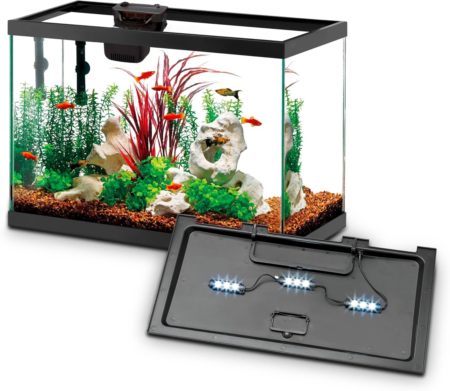 Aqueon Aquarium Starter Kit with Smart Clean Filtration and LED Lighting, Freshwater and Saltwater Fish, Perfect for Tetras, Guppies, Platies, 10-Gallon
