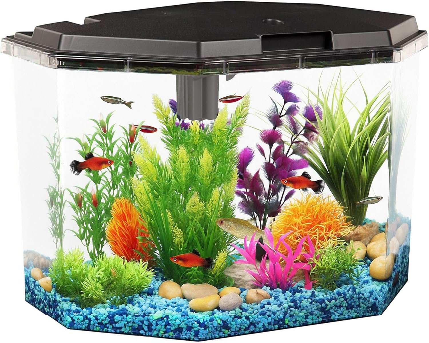 Koller Products 6.5-Gallon Aquarium Kit with Power Filter and LED Lighting, (AP650)