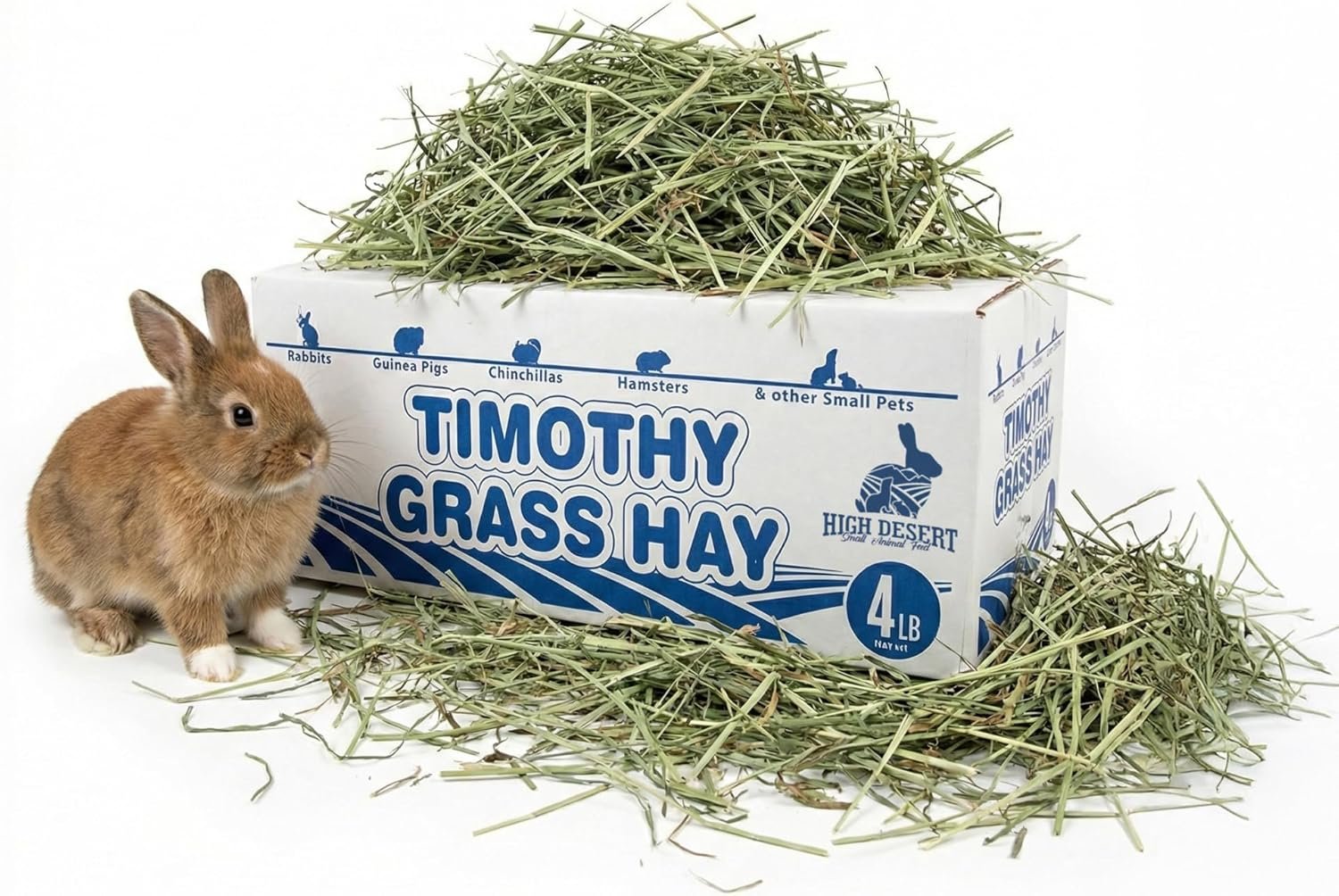 High Desert 1st Cut Timothy Hay for Rabbits, Guinea Pigs, and Small Pets, Premium Grass Hay for Daily Feeding and Digestive Health, Natural Rabbit Food and Guinea Pig Food, Small Pet Supplies, 4 lb