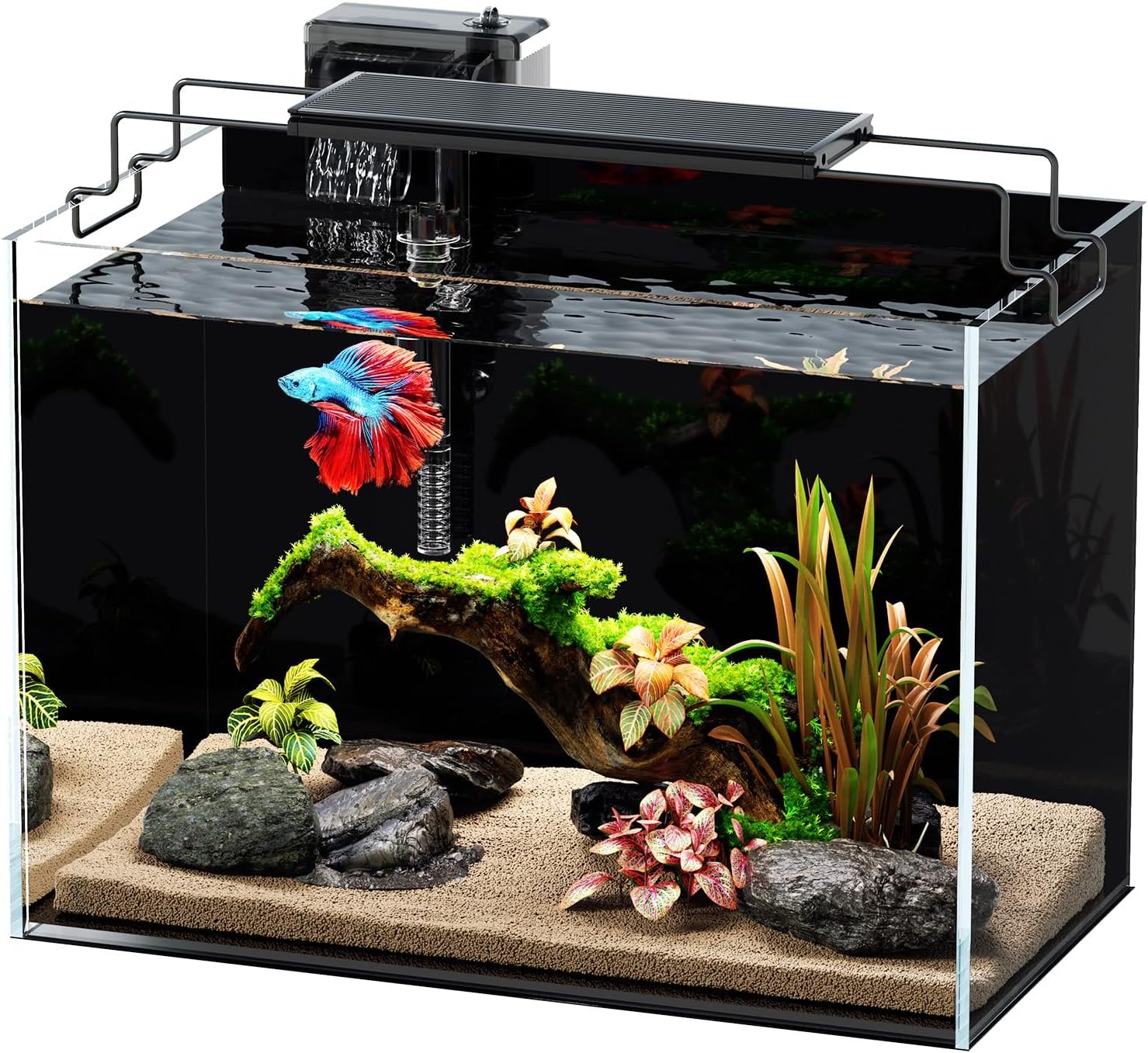 5 Gallon Fish Tank Aquarium Kit with HOB Filter, LED Light with Timer, Lid, Siphon Vacuum Cleaner, Self Cleaning Glass Rimless Betta Tank