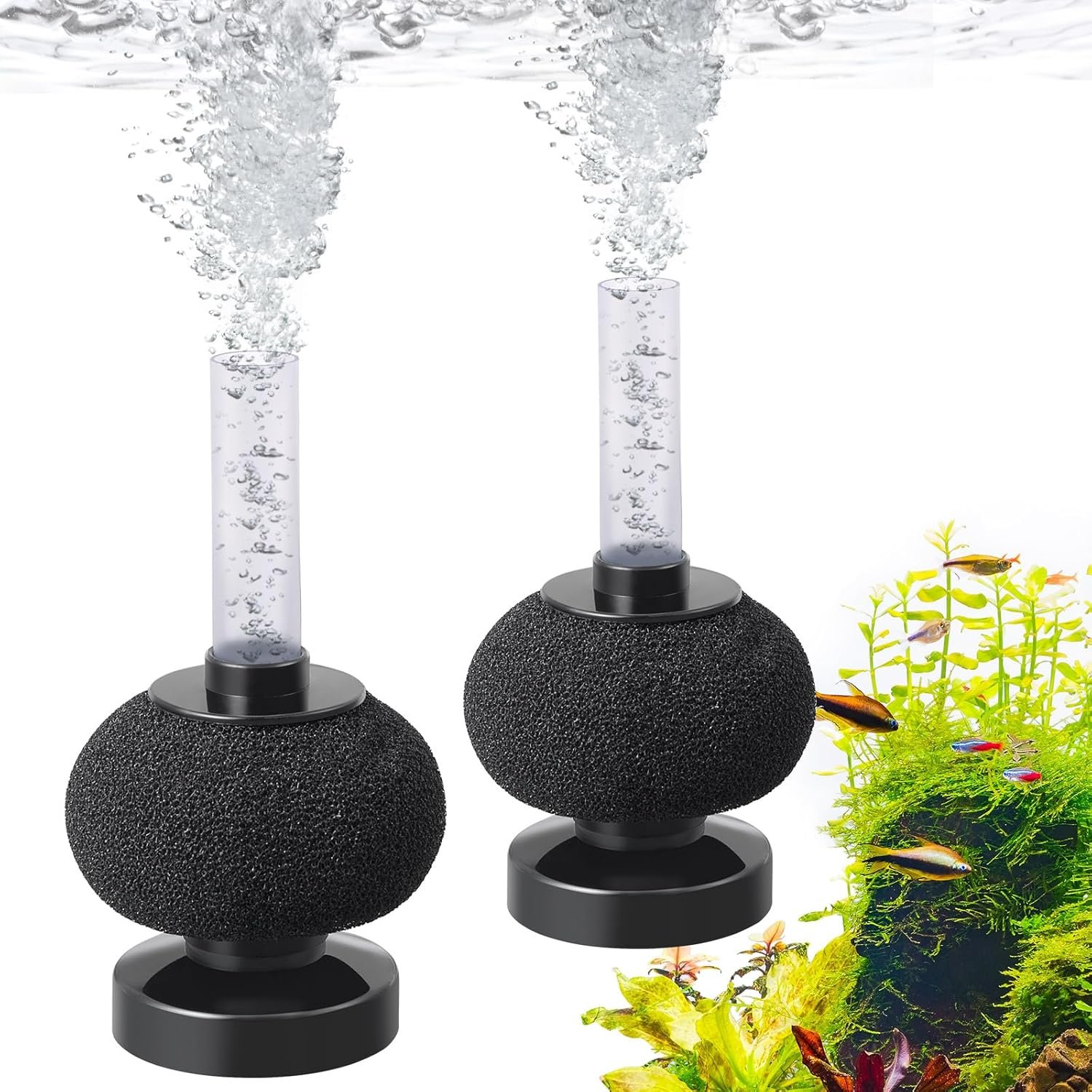 HITOP 2 Pack Aquarium Bio Sponge Filter: Diameter 2.5in Mini Air-Powered Fish Tank Filter, Quiet Small Sponge Filter for up to 15gallon Fish Tank, Betta Tank, Shrimp Tank, Fry Tank, Breeding