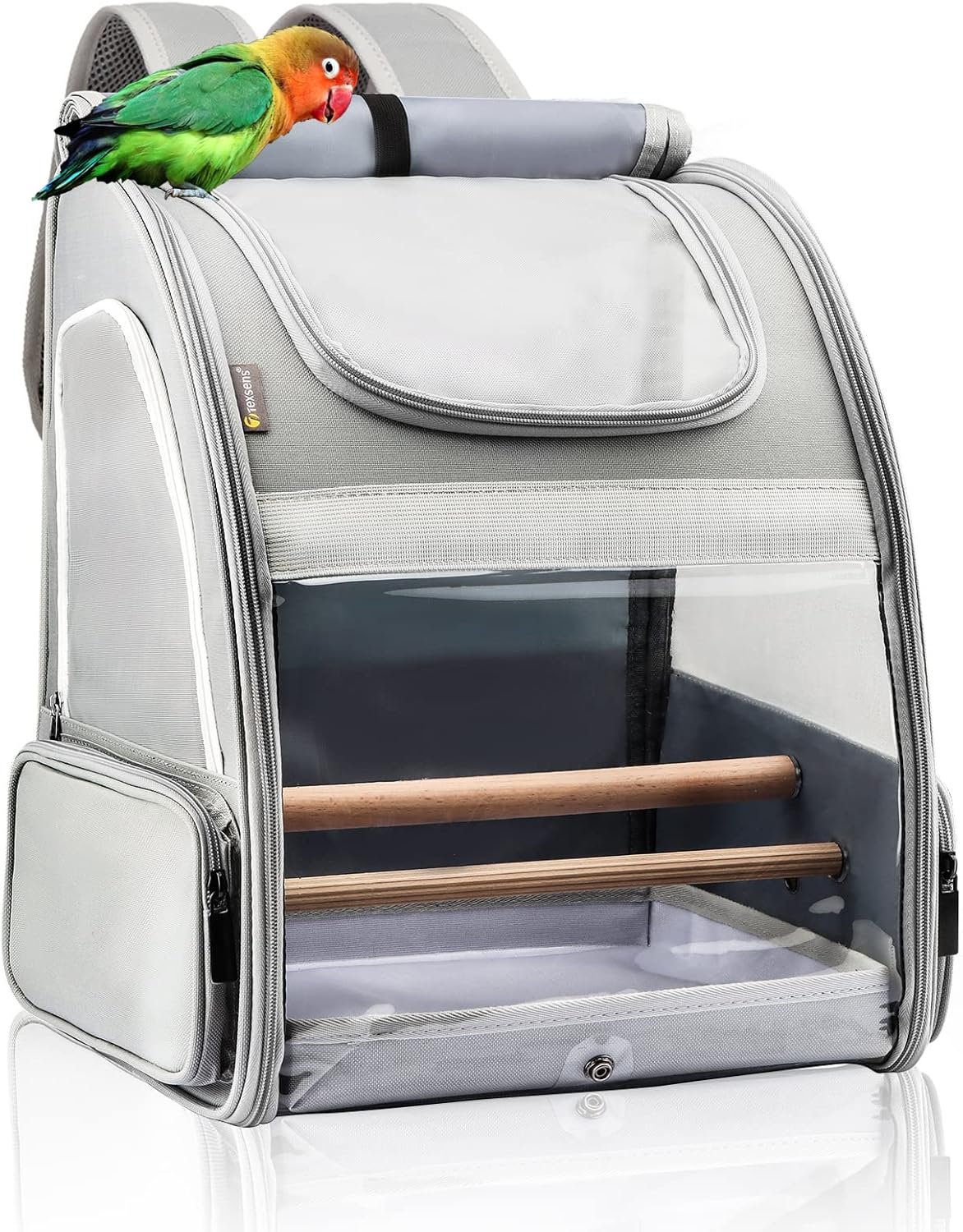 Texsens Bird Carrier Backpack – Pet Travel Cage with Upgraded Tray and Standing Perches, Breathable & Portable, for Small Birds, Green Cheek, Cockatiel, Parrot (Grey)