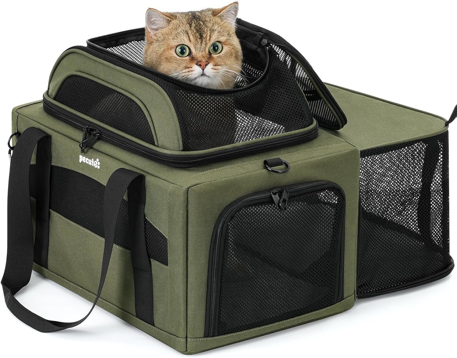 Pecute Top Side Expandable Pet Carrier Airline Approved Dog Cat Carrier, Breathable Soft-Sided with Locking Zippers, Pet Travel Bag for Small Dog Cat Leakproof Pee Pad (Olive Green)