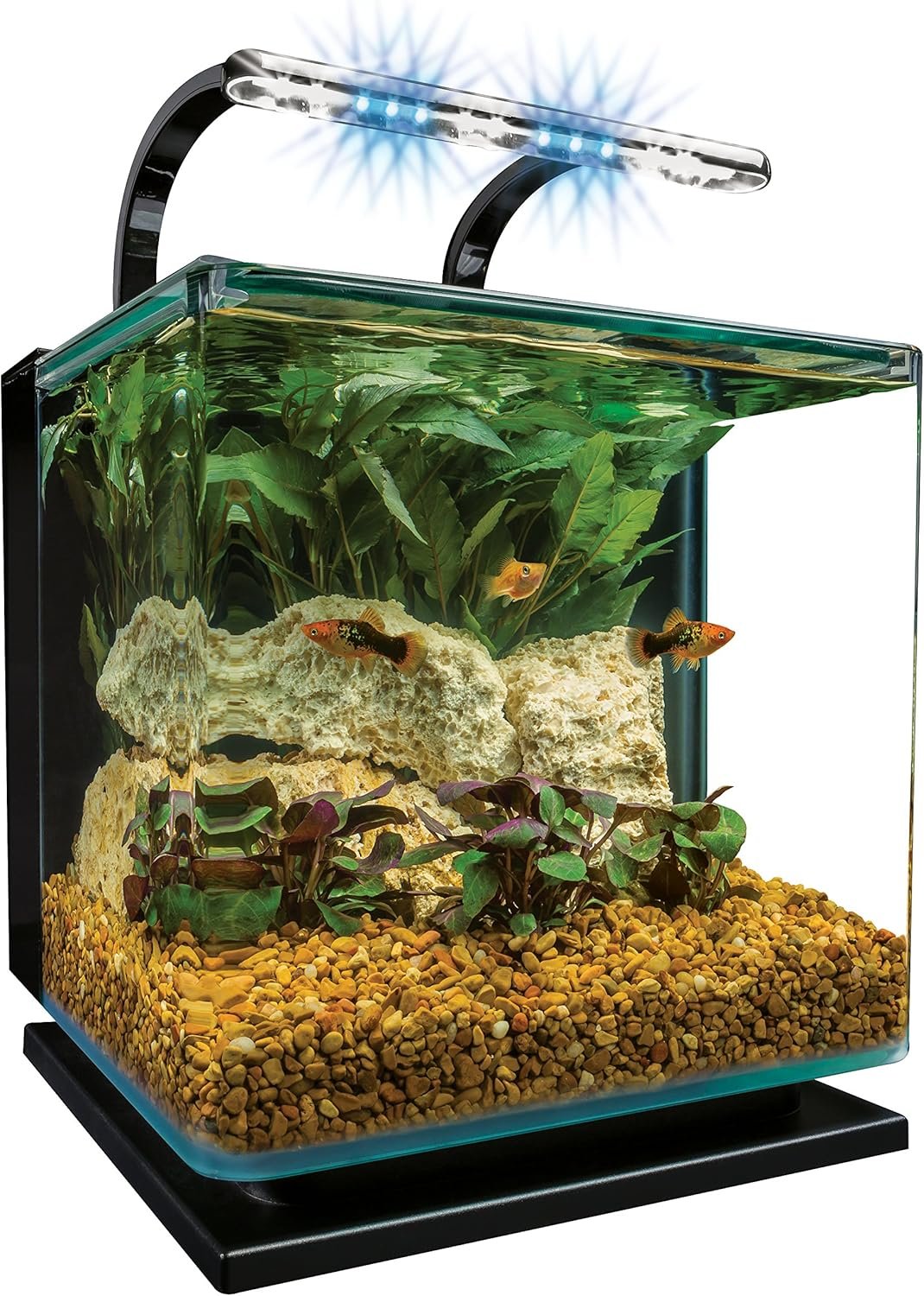 Marineland Contour 3 Aquarium Kit 3 Gallons, Rounded Glass Corners, Includes LED Lighting