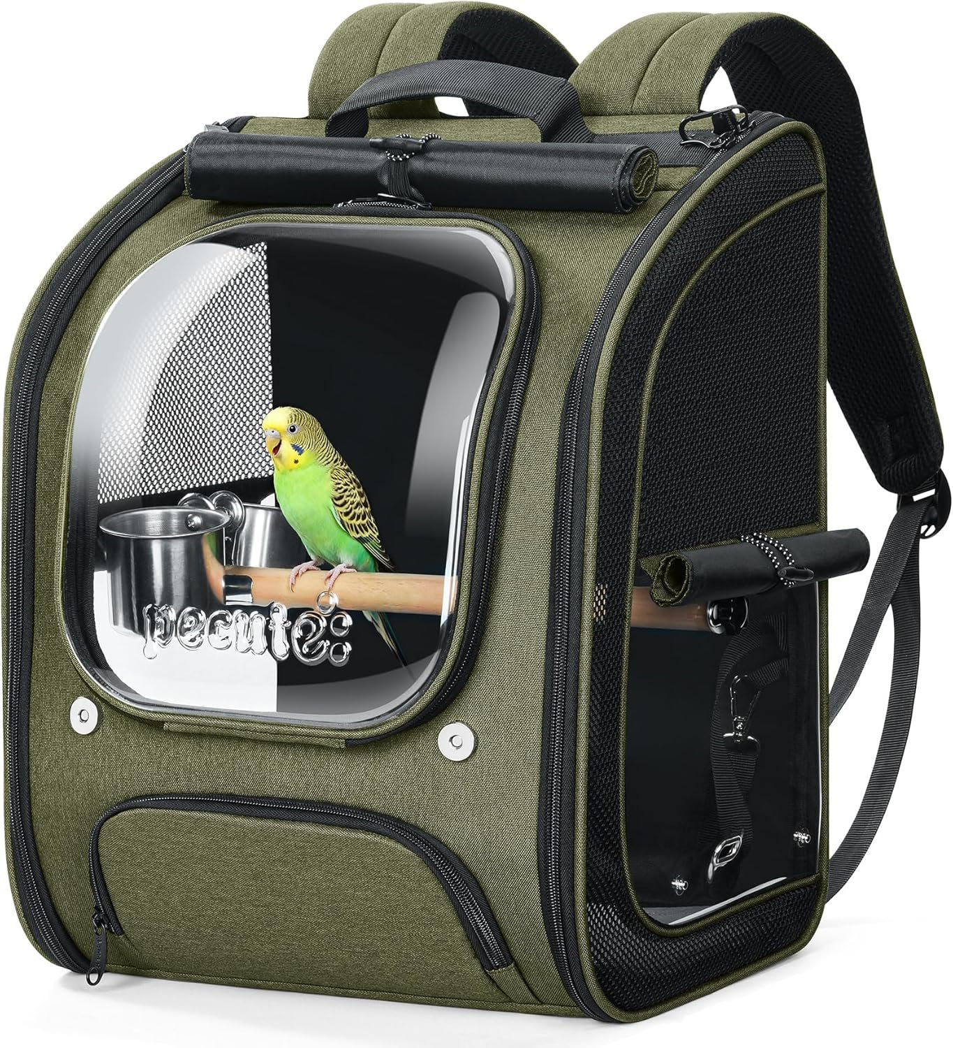 Pecute Bird Backpack Carrier for Small Birds,Cockatiel,Parrot,Bird Carrier with Standing Perch,Comfy Mat&Transparent Window, Breathable Bird Backpack for Vet Visit,Shopping and Outdoor Adventure,Green